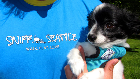 Sniff Seattle Tee Shirts, Walk Play Love, Dog Walkers